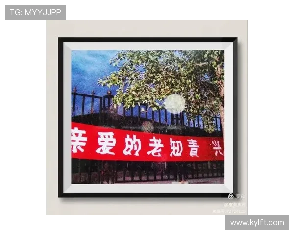 《年轮》：一部时代的烙印，一场岁月的沉思